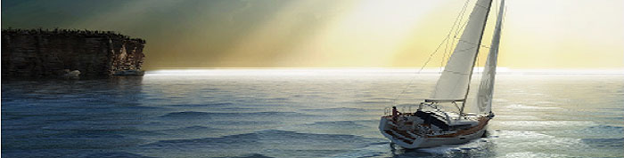 sense_43