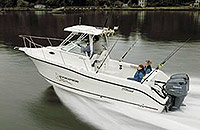 stripler 2605 wa