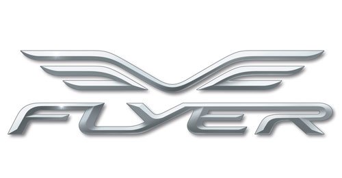 logo flyer